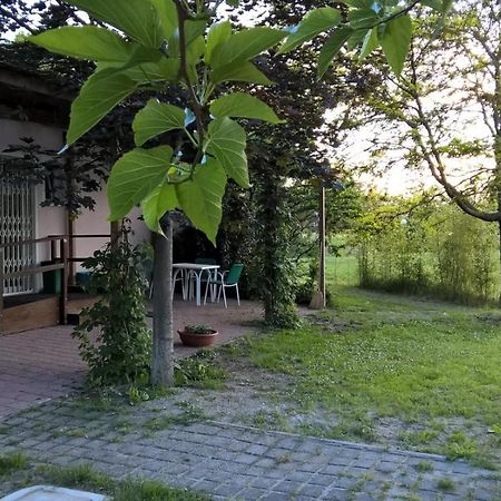 Rose Canine B&B Cesenatico Zewnętrze zdjęcie